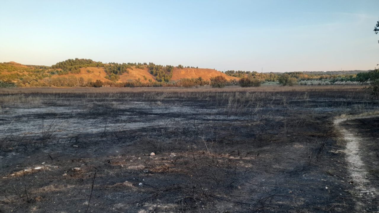 Izquierda Unida solicita la dimisión del concejal de Medio Ambiente de Alcalá